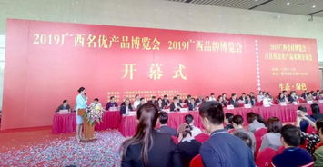 廣西通靈大峽谷閃耀2019年國家級博覽會，助推旅游品牌升級